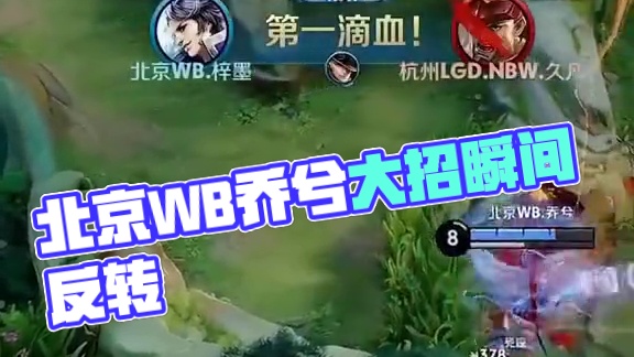 莱沃库森 莱沃库森