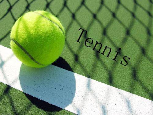 曼城的人员 曼城的人员