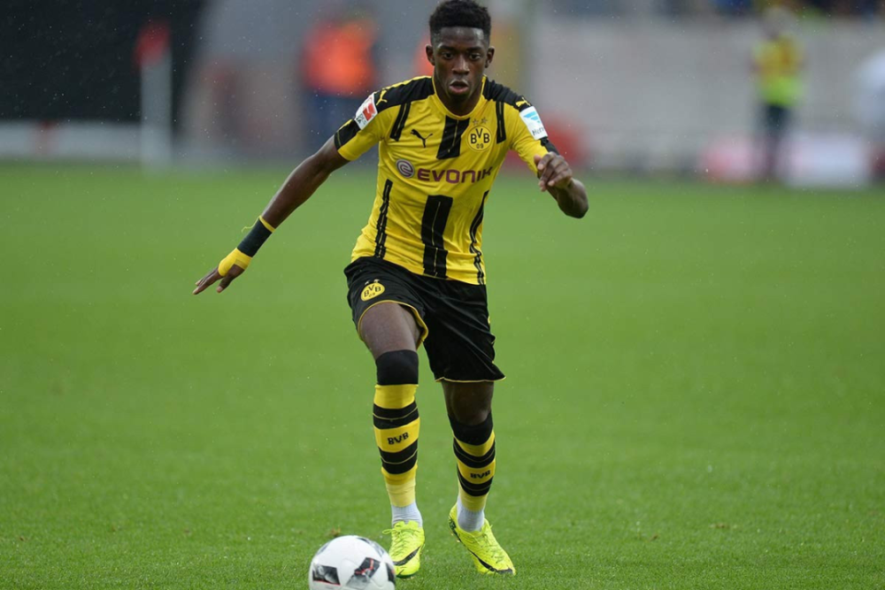 休赛期减脂 休赛期减脂